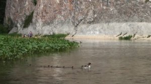 Сплав Бурзян(ДОЛ. Агидель) - Миндигулово.