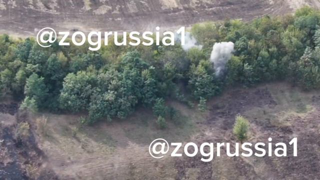 Артудары и последующее ФАБирование позиций противника в лесопосадке близ села Плёхово что южнее ...