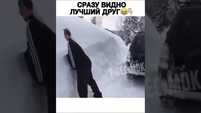 сразу видно лучший друг