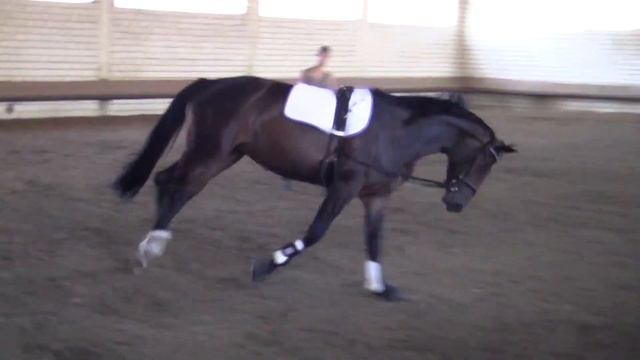 Donna Karan смотреть онлайн