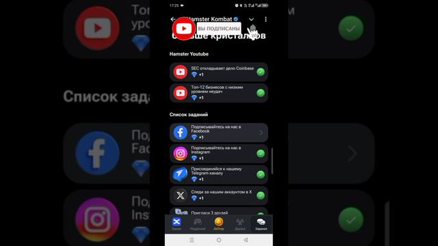 1000003347.mp4