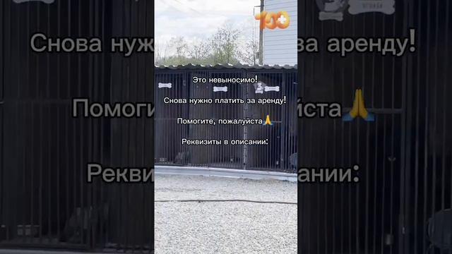 Что с нами будет дальше? Сбербанк 4276 2200 1477 0237 Помогите, заплатить аренду 100.000 руб. #приют