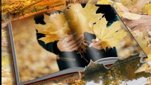 Исп.Павел Соколов - Желтые листья