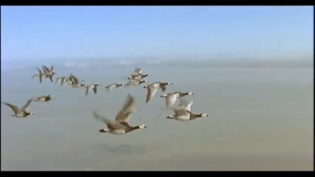 Nómadas del viento - música: Bernat Quetglas смотреть онлайн