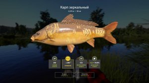 Русская Рыбалка 4, Карп Зеркальный 2,2+ кг #русскаярыбалка4 #russianfishing4