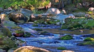 ⲧⲉⳡⲉⲧ ⲣⲉⲕⲁ. ⲡⲧυцы ⲡⲟюⲧ. ⲣⲁⲥⲥⲗⲁⳝⲗяⲉⲙⲥя