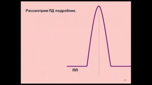 Лекция 2. Электрические процессы в мозге