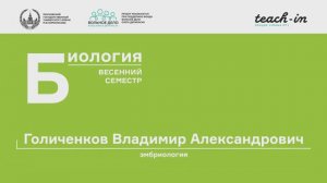 4. Оплодотворение. Эмбриология - Голиченков В. А. Teach-in.