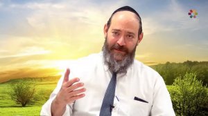 Rabbi David Kaplan - Weekly Torah Portion: Chayei Sarah - Part 2