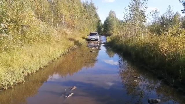 лужа смотреть онлайн