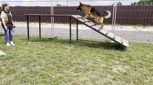 Занятия по Ноузворку в Территории заботы