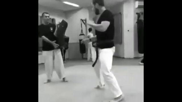 Kancho raffi bitton dan 9 смотреть онлайн