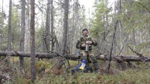 Думал волки напали на собаку,а это был другой зверь! ОХОТА