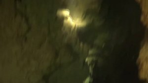 искатели сокровищ