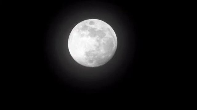 Global Infantilists/Still Waters.m4v смотреть онлайн