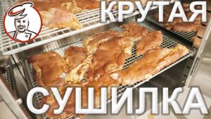 Мощная СУШИЛКА-ДЕГИДРАТОР для мяса, грибов, овощей и фруктов. Сушит сразу на всех полках.