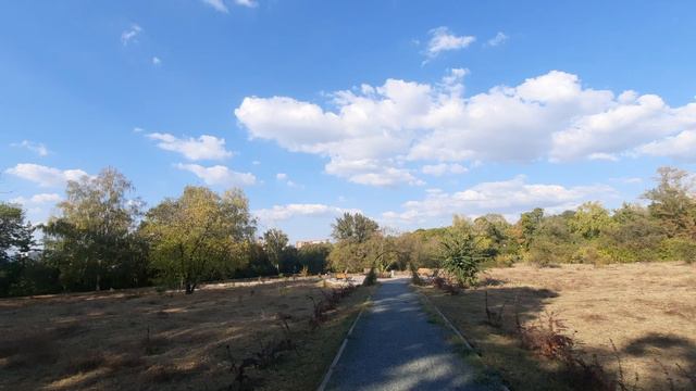 Небо Осень. Красота жизни. Релакс