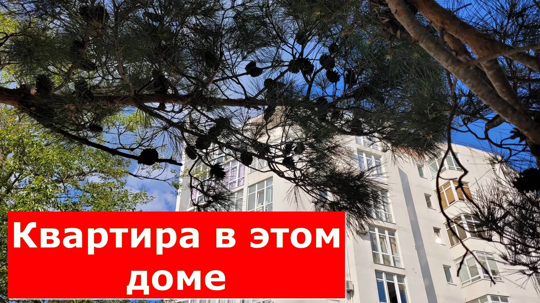 КВАРТИРА в ЦЕНТРАЛЬНОЙ части ГОРОДА с РЕМОНТОМ и видом на ГОРЫ #СОЧИЮДВ #Обзор#Геленджик#Квартира