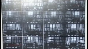 Чёрный дельфин