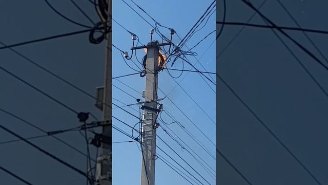 Короткое замыкание на опоре смотреть онлайн