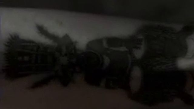 Stephen Malkmus: Dark Wave смотреть онлайн