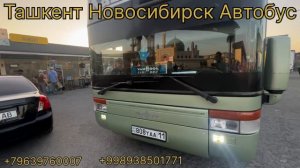 Ташкент Рассия Автобус