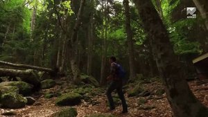 Поехали - Гоначхир