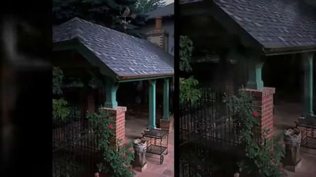 Trellis Ideas while Garden and Home Improvement