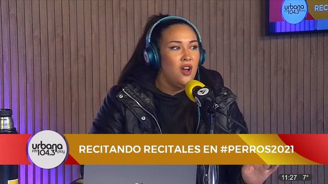 Recitando Recitales: No te va a gustar 2016 | Evelyn Botto en Perros de la Calle