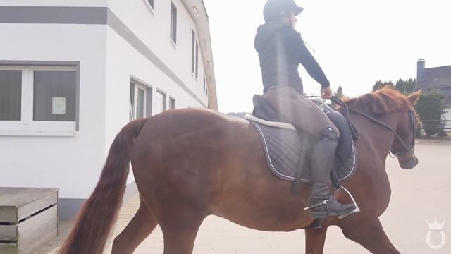 VLOG - a day in my life 💫🦄 | Marina Schuster смотреть онлайн