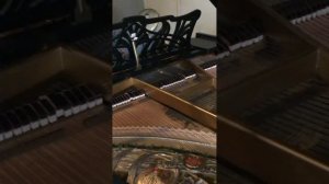 Ernst Kaps grand piano from 1906 played  by Bert van den Brink