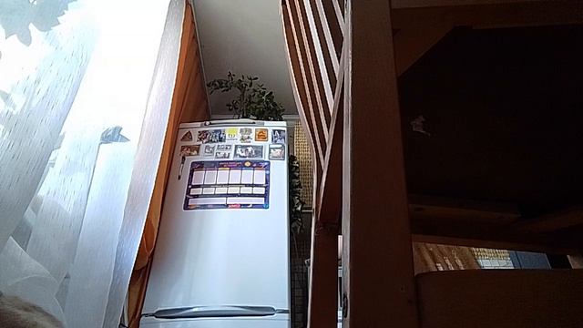 VID_20240921_114317.mp4 смотреть онлайн