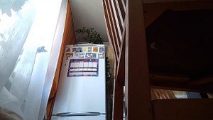 VID_20240921_114317.mp4