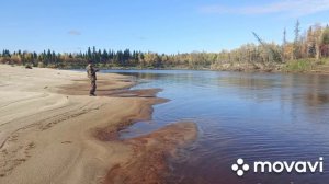 рыбалка#щука сдурела .розгибает кольца