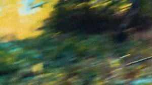 Стрельба На Секретном Полуострове! Начало Нового Противостояния.mp4