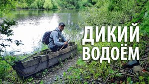 Дикий пруд. Ловля на отводной поводок в коряжнике. Окунь клюёт!