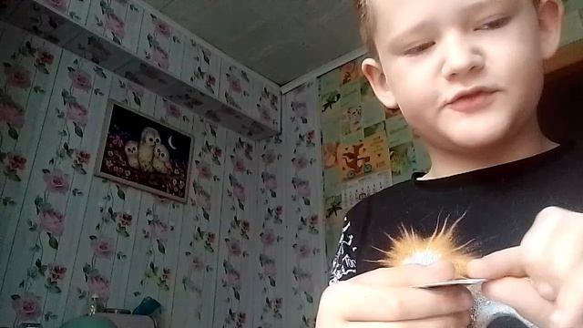 стикеры