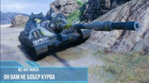 Wz.66T Burza коротко о главном