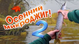 Щука на последнем забросе, микро окунь на микроджиг!