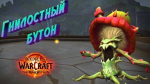 ОТОДВИНУТАЯ ПРЕГРАДА - ИЛИ КАК ПОЛУЧИТЬ ПИТОМЦА ГНИЛОСТНЫЙ БУТОН В WORLD OF WARCRAFT: THE WAR WITHIN