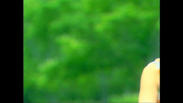 DO MY BEST (MV) / 中澤裕子 смотреть онлайн