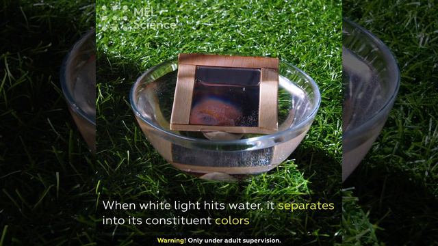 Newton Experiment 🌈 - Fun Way to Make a Rainbow смотреть онлайн