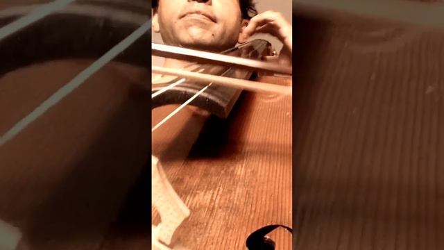 Paratodos ( Chico Buarque) Cello e arranjo: Fred смотреть онлайн