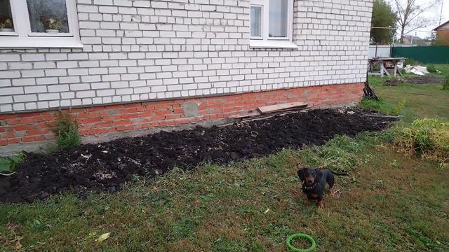 Готовим огород к зиме  Мотивация  Как устранить из жизни день сурка