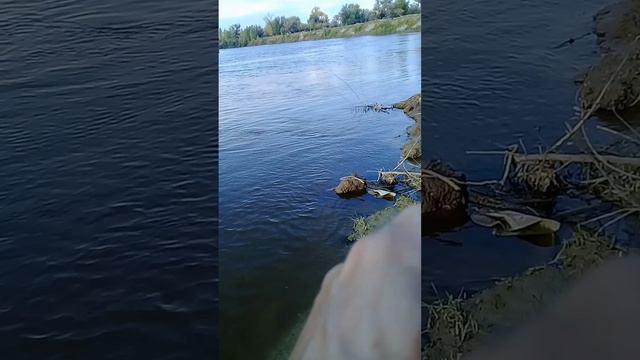 Рыбалка на спиннинг 🎣 Тюменская область подпишись