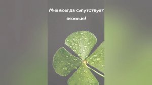 Саблиминал на удачу #удача #саблиминал #аффирмации