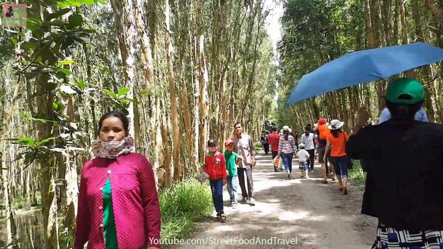 Vietnam Travel Mekong Delta - Tra Su Forest An Giang 2017