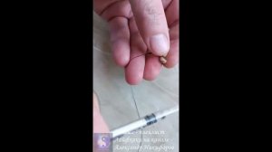 Рыбалка. Опарыши насадка