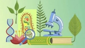 Биология 6 класс. Транспорт веществ в организме.--