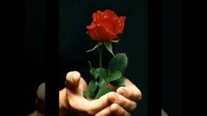 Ин сурудро хам мечуст суруди ерони баройи ошико